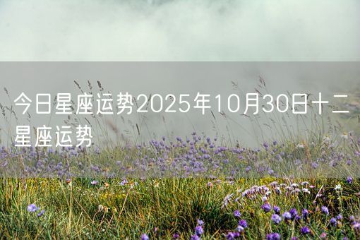 今日星座运势2025年10月30日十二星座运势(图1)