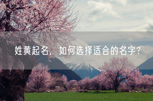 姓黄起名，如何选择适合的名字？(图1)