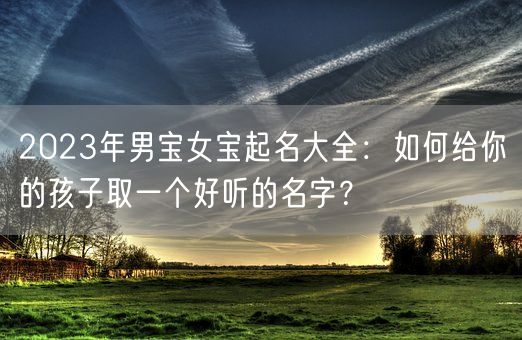 2023年男宝女宝起名大全：如何给你的孩子取一个好听的名字？(图1)