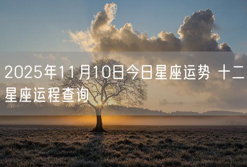 2025年11月10日今日星座运势 十二星座运程查询(图1)