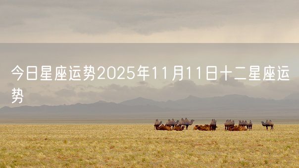 今日星座运势2025年11月11日十二星座运势(图1)