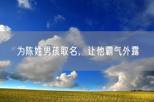 为陈姓男孩取名，让他霸气外露(图1)