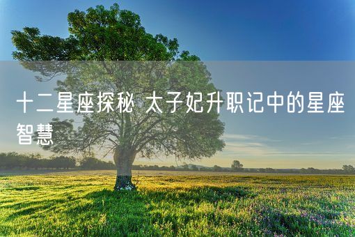 十二星座探秘 太子妃升职记中的星座智慧(图1)