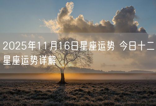 2025年11月16日星座运势 今日十二星座运势详解(图1)