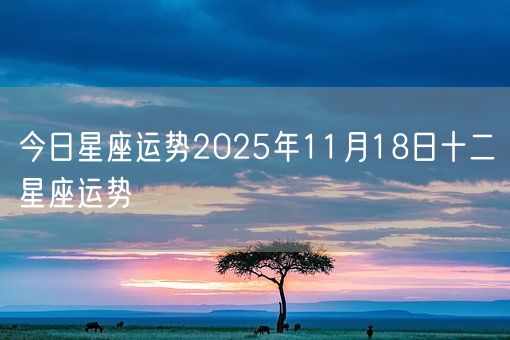 今日星座运势2025年11月18日十二星座运势(图1)