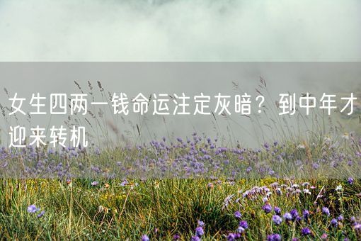 女生四两一钱命运注定灰暗？到中年才迎来转机(图1)