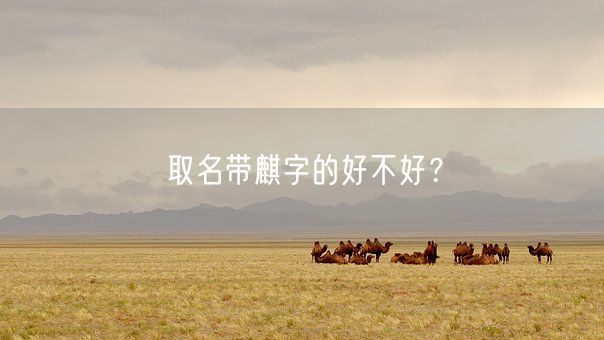 取名带麒字的好不好？(图1)