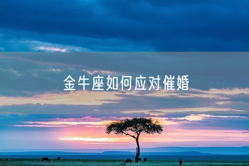 金牛座如何应对催婚(图1)