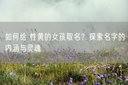 如何给 性黄的女孩取名？探索名字的内涵与灵魂(图1)