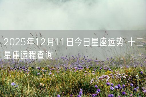 2025年12月11日今日星座运势 十二星座运程查询(图1)