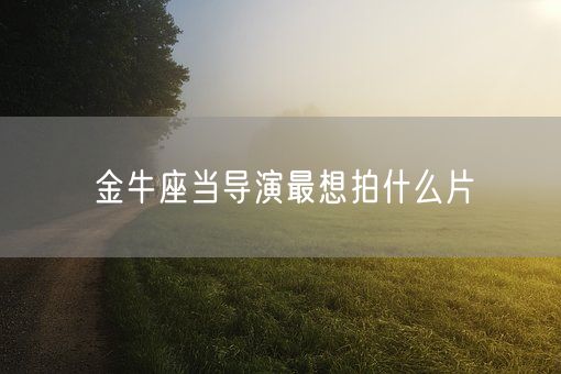 金牛座当导演最想拍什么片(图1)