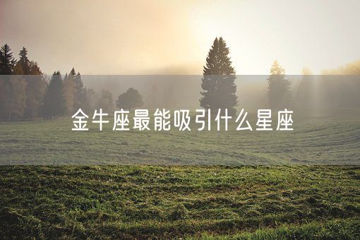 金牛座最能吸引什么星座(图1)