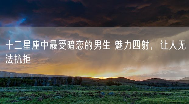 十二星座中最受暗恋的男生 魅力四射，让人无法抗拒(图1)