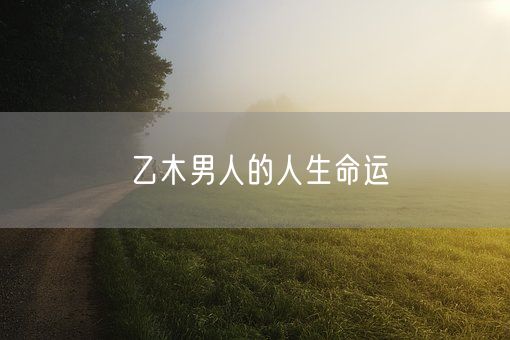 乙木男人的人生命运(图1)