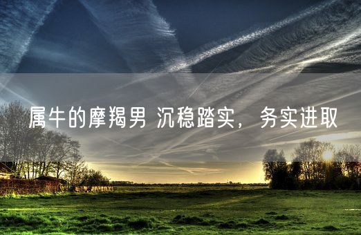 属牛的摩羯男 沉稳踏实，务实进取(图1)