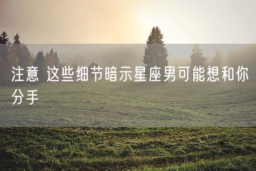 注意 这些细节暗示星座男可能想和你分手(图1)