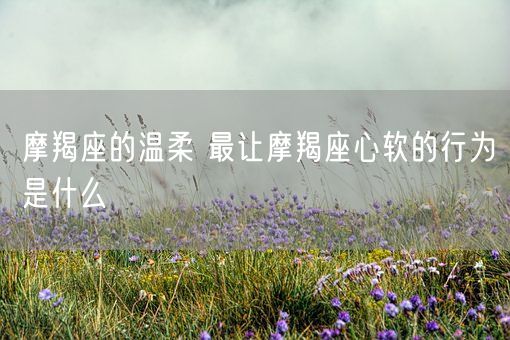 摩羯座的温柔 最让摩羯座心软的行为是什么(图1)