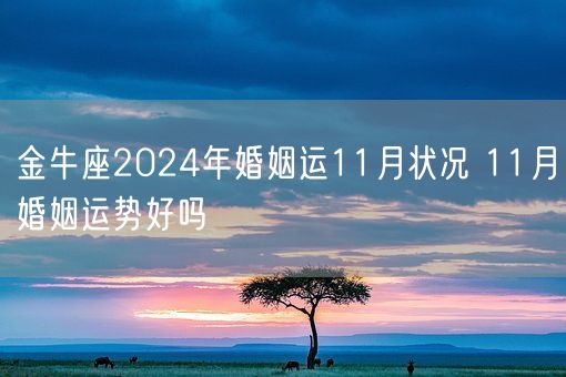 金牛座2024年婚姻运11月状况 11月婚姻运势好吗(图1)