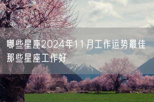 哪些星座2024年11月工作运势最佳 那些星座工作好(图1)