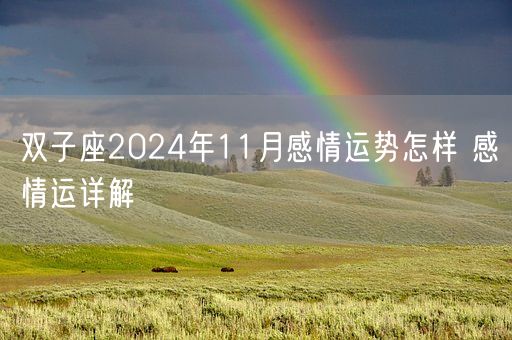 双子座2024年11月感情运势怎样 感情运详解(图1)