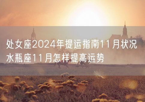 处女座2024年提运指南11月状况 水瓶座11月怎样提高运势(图1)