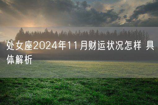 处女座2024年11月财运状况怎样 具体解析(图1)