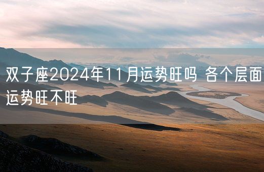 双子座2024年11月运势旺吗 各个层面运势旺不旺(图1)