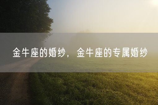 金牛座的婚纱，金牛座的专属婚纱(图1)