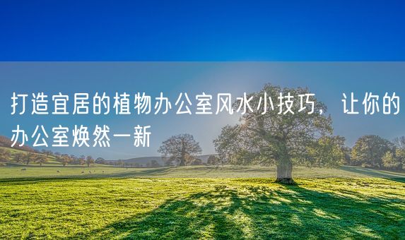 打造宜居的植物办公室风水小技巧，让你的办公室焕然一新(图1)