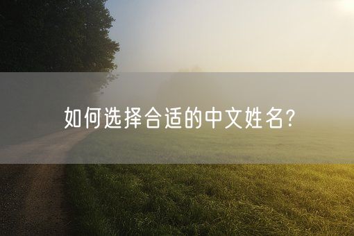 如何选择合适的中文姓名？(图1)