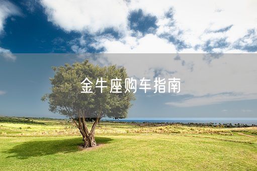 金牛座购车指南(图1)