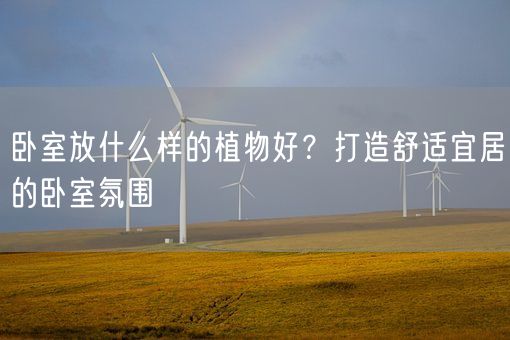 卧室放什么样的植物好？打造舒适宜居的卧室氛围(图1)