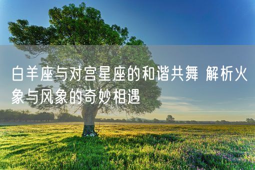 白羊座与对宫星座的和谐共舞 解析火象与风象的奇妙相遇(图1)