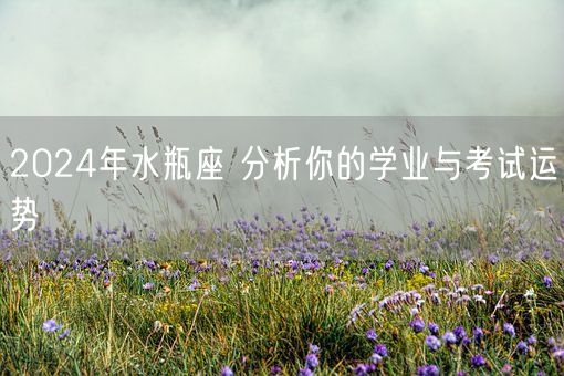 2024年水瓶座 分析你的学业与考试运势(图1)