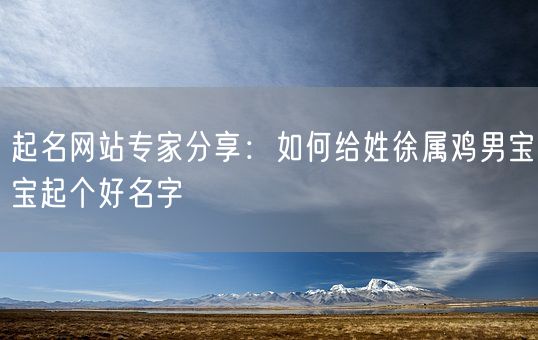 起名网站专家分享：如何给姓徐属鸡男宝宝起个好名字(图1)