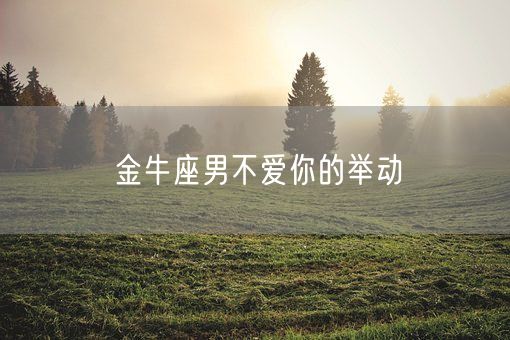 金牛座男不爱你的举动(图1)