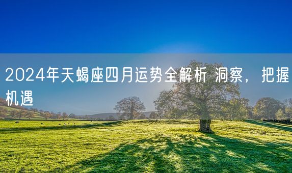 2024年天蝎座四月运势全解析 洞察，把握机遇(图1)