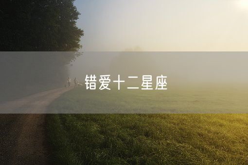 错爱十二星座(图1)