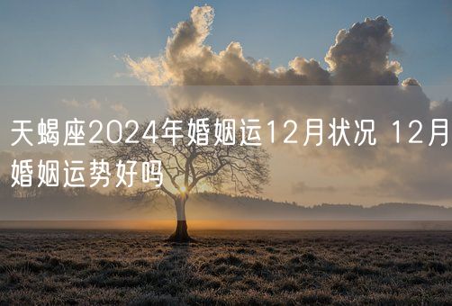 天蝎座2024年婚姻运12月状况 12月婚姻运势好吗(图1)