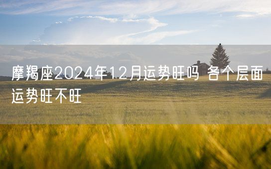 摩羯座2024年12月运势旺吗 各个层面运势旺不旺(图1)