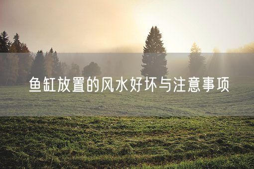 鱼缸放置的风水好坏与注意事项(图1)