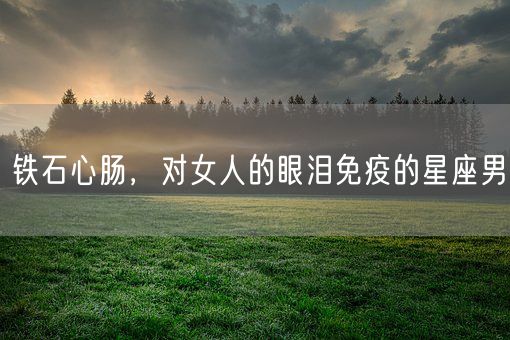 铁石心肠，对女人的眼泪免疫的星座男(图1)