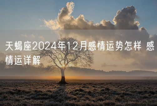 天蝎座2024年12月感情运势怎样 感情运详解(图1)