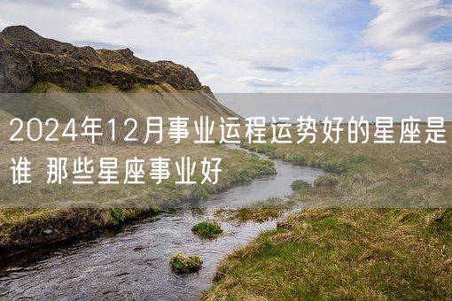 2024年12月事业运程运势好的星座是谁 那些星座事业好(图1)
