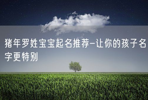 猪年罗姓宝宝起名推荐-让你的孩子名字更特别(图1)