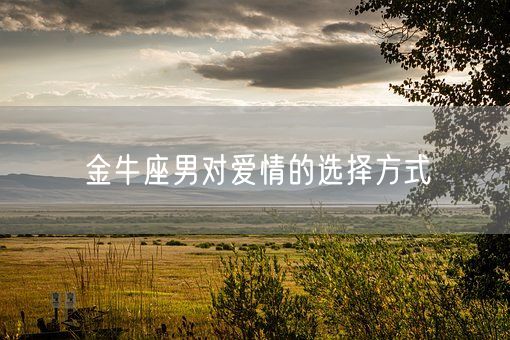 金牛座男对爱情的选择方式(图1)