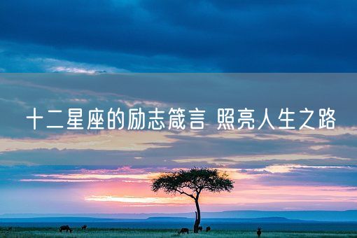 十二星座的励志箴言 照亮人生之路(图1)