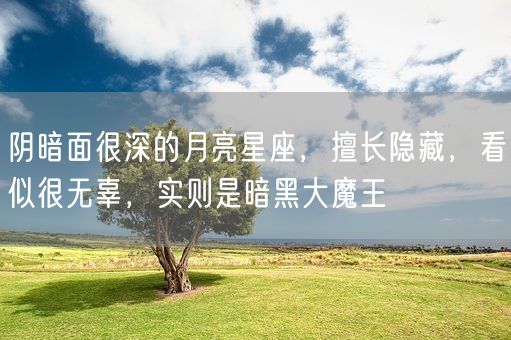 阴暗面很深的月亮星座，擅长隐藏，看似很无辜，实则是暗黑大魔王(图1)