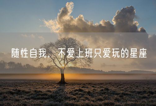 随性自我，不爱上班只爱玩的星座(图1)