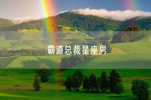 霸道总裁星座男(图1)